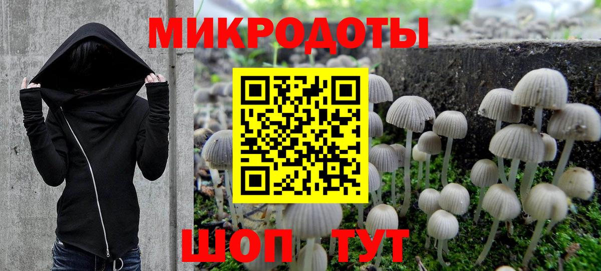 Псилоцибиновые грибы GOLDEN TEACHER Люберцы