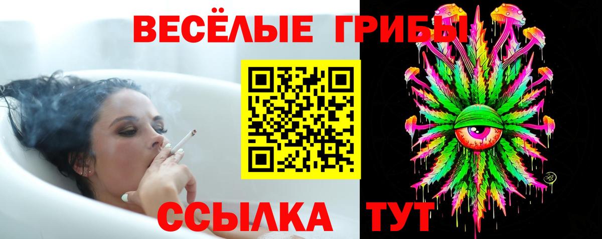 Псилоцибиновые грибы Psilocybe  Галлюциногенные грибы прущие грибы  Вход с VPN  Люберцы 